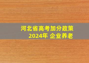 河北省高考加分政策2024年 企业养老